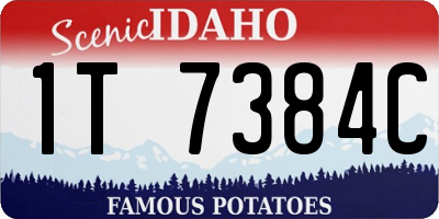 ID license plate 1T7384C