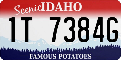 ID license plate 1T7384G
