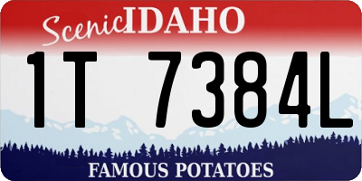 ID license plate 1T7384L
