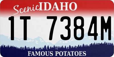 ID license plate 1T7384M
