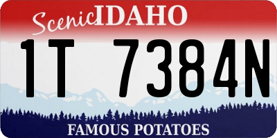 ID license plate 1T7384N