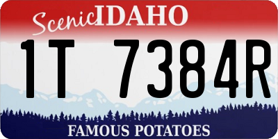 ID license plate 1T7384R