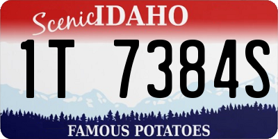 ID license plate 1T7384S