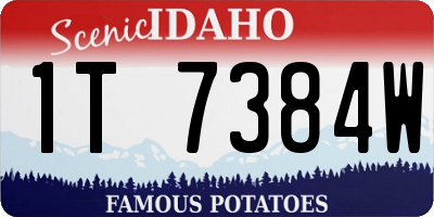 ID license plate 1T7384W