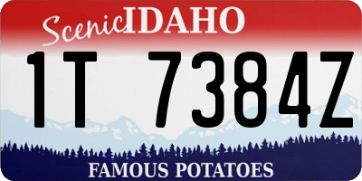ID license plate 1T7384Z