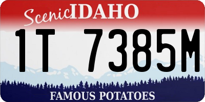 ID license plate 1T7385M