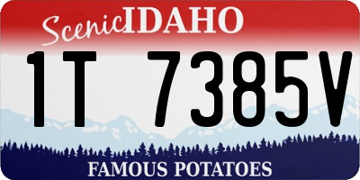 ID license plate 1T7385V