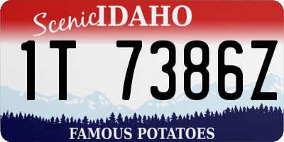 ID license plate 1T7386Z