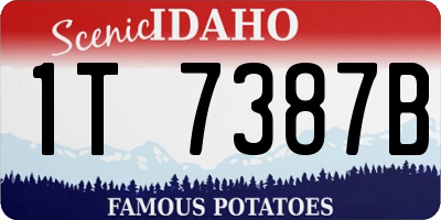 ID license plate 1T7387B