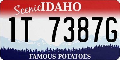 ID license plate 1T7387G