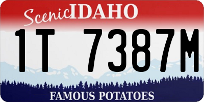 ID license plate 1T7387M