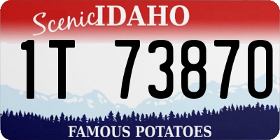 ID license plate 1T7387O