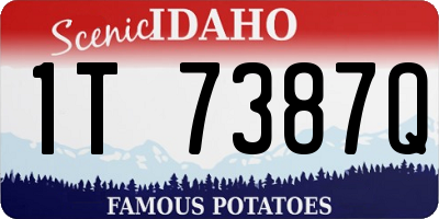 ID license plate 1T7387Q