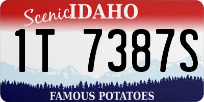 ID license plate 1T7387S