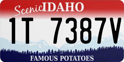 ID license plate 1T7387V