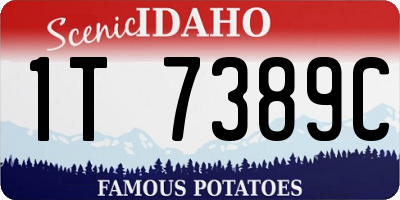 ID license plate 1T7389C
