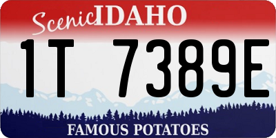 ID license plate 1T7389E