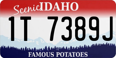 ID license plate 1T7389J