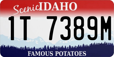 ID license plate 1T7389M