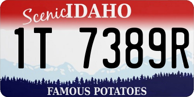 ID license plate 1T7389R