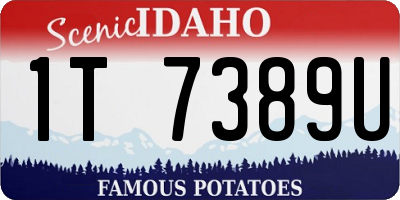 ID license plate 1T7389U