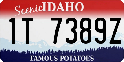 ID license plate 1T7389Z