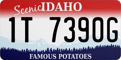 ID license plate 1T7390G