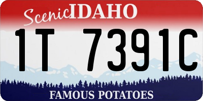 ID license plate 1T7391C