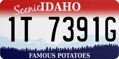 ID license plate 1T7391G