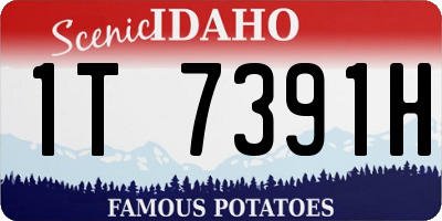ID license plate 1T7391H