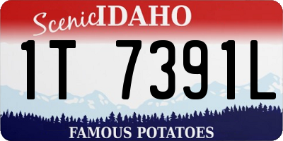 ID license plate 1T7391L