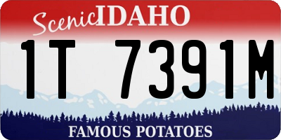 ID license plate 1T7391M