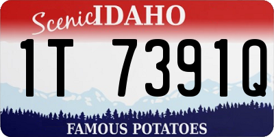 ID license plate 1T7391Q
