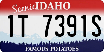 ID license plate 1T7391S