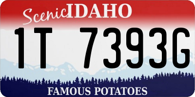 ID license plate 1T7393G