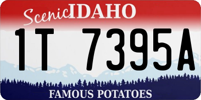 ID license plate 1T7395A