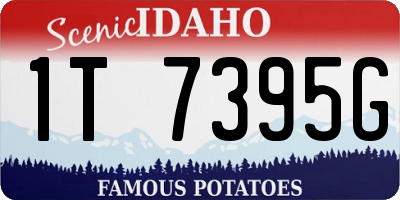 ID license plate 1T7395G