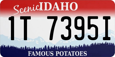 ID license plate 1T7395I