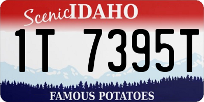 ID license plate 1T7395T