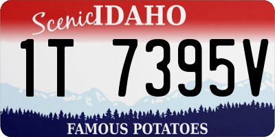 ID license plate 1T7395V
