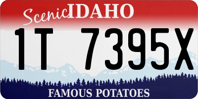 ID license plate 1T7395X