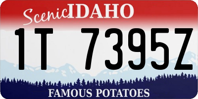 ID license plate 1T7395Z