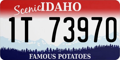 ID license plate 1T7397O