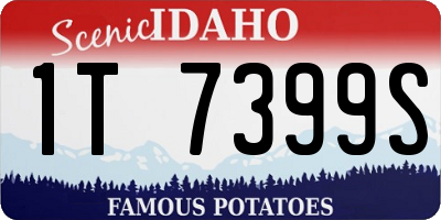 ID license plate 1T7399S