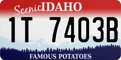 ID license plate 1T7403B
