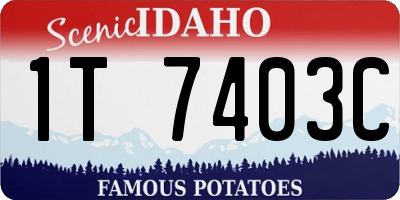 ID license plate 1T7403C