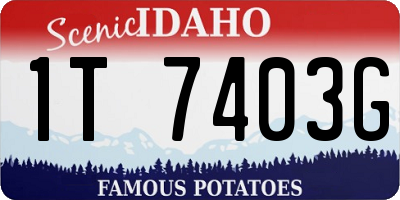 ID license plate 1T7403G