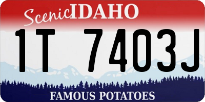 ID license plate 1T7403J