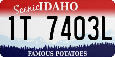 ID license plate 1T7403L