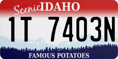 ID license plate 1T7403N